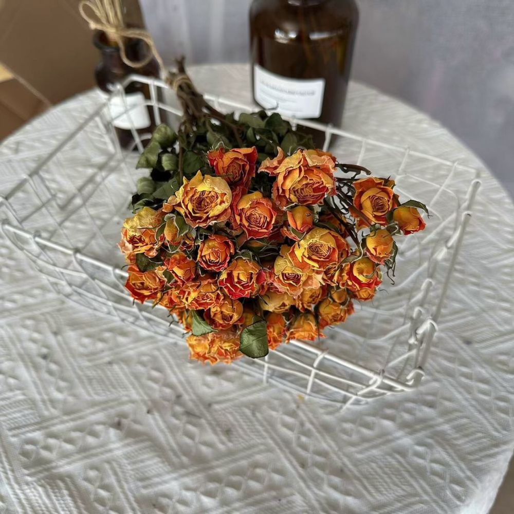 Resin Craft Ideas - 진짜 보존 처리된 장미, 드라이 플라워