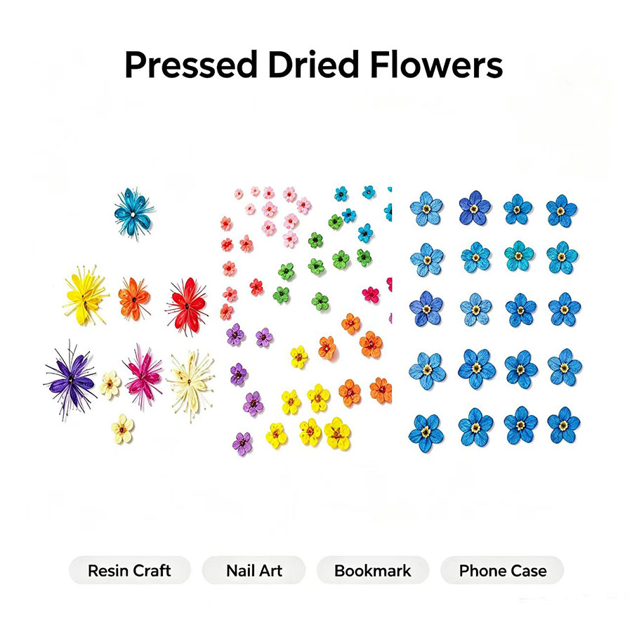 Resin Craft Ideas - 60개입 미니 압화 꽃 - 사진