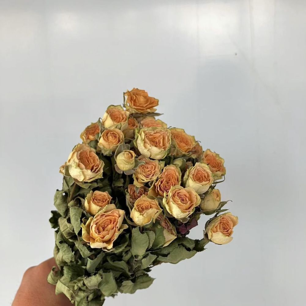 진짜 보존 처리된 장미, 드라이 플라워 다발, 자연 그 - Resin Craft Ideas 리뷰 및 가격