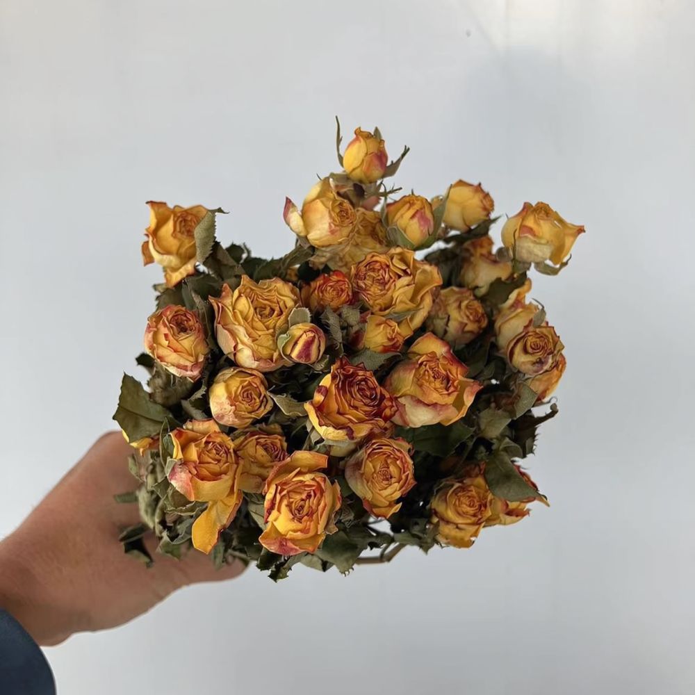 진짜 보존 처리된 장미, 드라이 플라워 다발, 자연 그 - Resin Craft Ideas 리뷰 및 가격