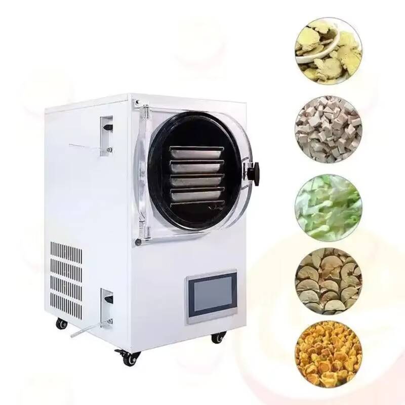 소형 진공 냉동 건조기 실험실용 냉동 건조기 가정용 미 - Vacuum Chamber Small 리뷰 및 가격
