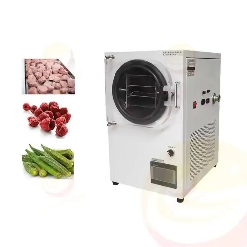 소형 진공 냉동 건조기 실험실용 냉동 건조기 가정용 미 - Vacuum Chamber Small 리뷰 및 가격