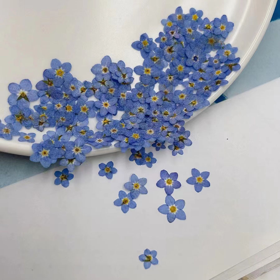 60개입 미니 압화 꽃 - 사진 액자, 레진 주얼리,  - Resin Craft Ideas 리뷰 및 가격